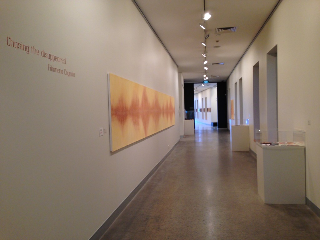 Chasing the Disappeared, Installation View, Tweed River Art Gallery