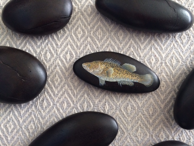 A very nervous time in the studio trying to work out how to paint the Murray Cod onto the pebble form. This is the first fish that I painted and the first moment that I realized that this project could work.