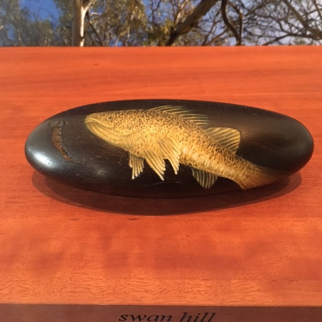 Detail - Swan Hill. Fish out of Water – Murray Cod, 9 redgum shelves individually etched, 9 colour photographs, and 9 petrified redgum forms and gouache. Each component measures, approximately 23h x 30w x 25d cm, overall dimensions variable, 2015