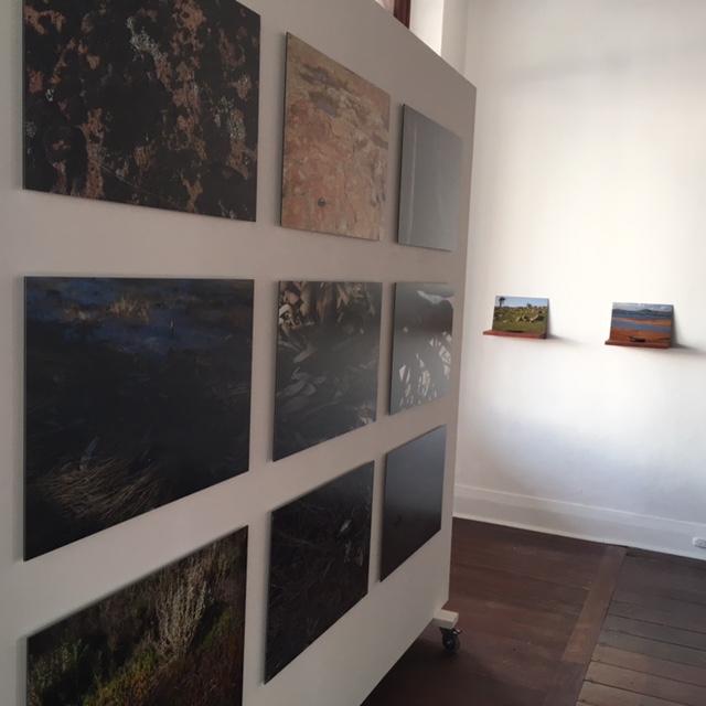 Installation View, Fish out of Water – Murray Cod, Colour photographs, each 40h x 60w cm, edition of 6, 2015 and Fish out of Water – Murray Cod, 9 redgum shelves individually etched, 9 colour photographs, and 9 petrified redgum forms and gouache. Each component measures, approximately 23h x 30w x 25d cm, overall dimensions variable, 2015