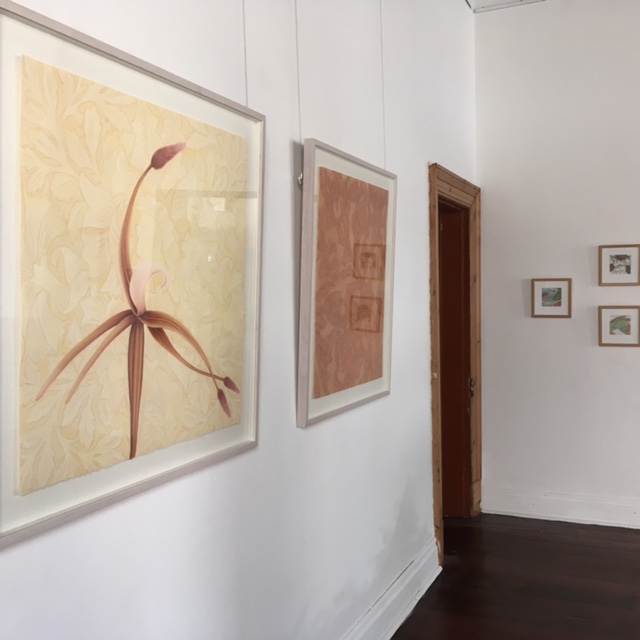 Installation View – Wallflower – Precious Blossom, pastel on paper, 80h x 80w cm, 2010, Wallflower – Meow, make me purr, pastel on paper, 80h x 70w cm, 2011. Fish out of Water – A Visitor, gouache, and pages from "The Reader's Digest Complete Atlas of Australia" 1968 edition, 12 x 12 cm, 2014. Fish out of Water – Eucalypt, gouache, gum leaves, and pages from "The Reader's Digest Complete Atlas of Australia" 1968 edition, 12 x 12 cm, 2014. Fish out of Water – Fishing, gouache, gum leaves, and pages from "The Reader's Digest Complete Atlas of Australia" 1968 edition, 12 x 12 cm, 2014.