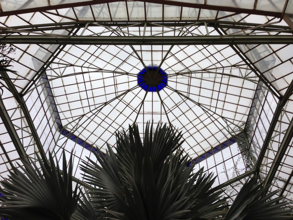 A little explore in the conservatory and the beautiful glass roof.  