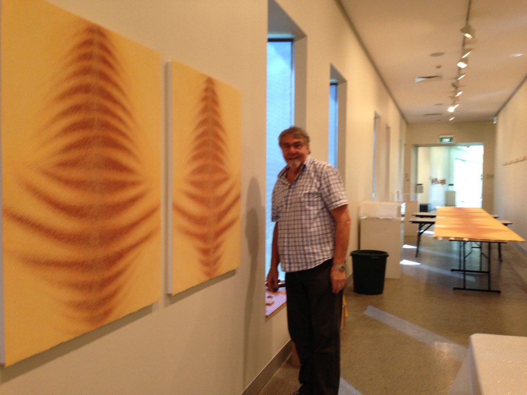 Peter Schardin installing the work at Tweed River Art Gallery